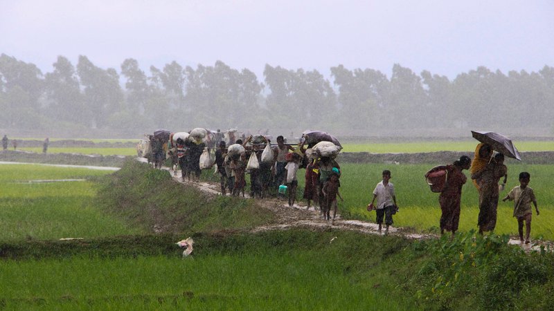 গৃহপালিত মাইনরিটি