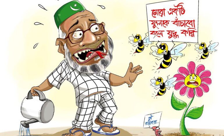 কাদের মোল্লার রায় নিয়ে দুই কথা